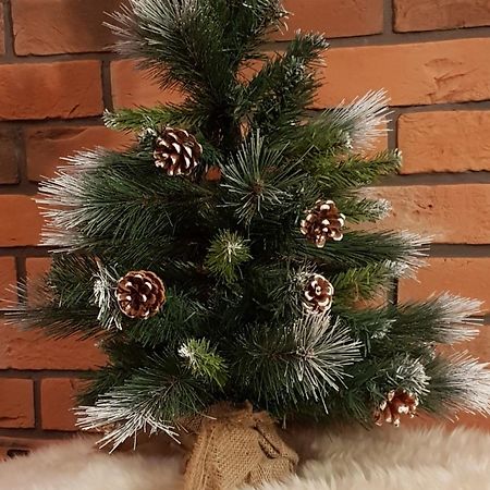 Apartamenty Bachledzki Wierch, 자코파네 외부 사진