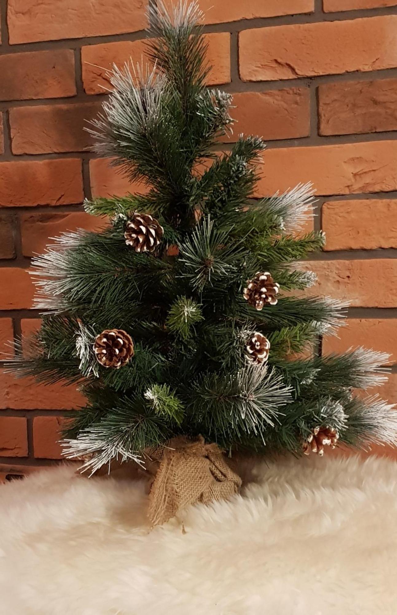 Apartamenty Bachledzki Wierch, 자코파네 외부 사진